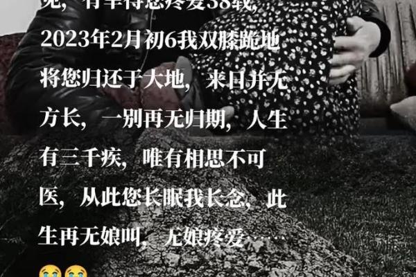 1988年4月13日出生的人生命运与性格解析