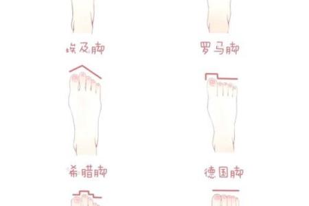 脚型与命运：如何通过鞋子揭示你的人生轨迹与性格特征