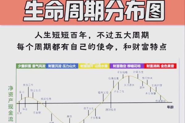 1997年出生的人命格分析：命运与机遇的交织之旅