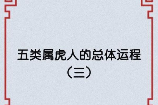 水虎命的取名禁忌与智慧之道