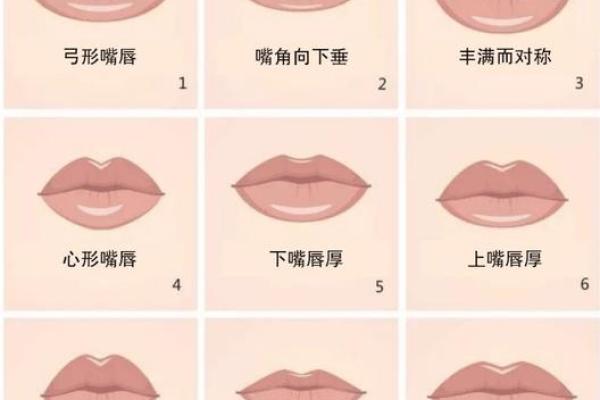 嘴唇厚的女人命运解析：她们独特魅力与人生智慧