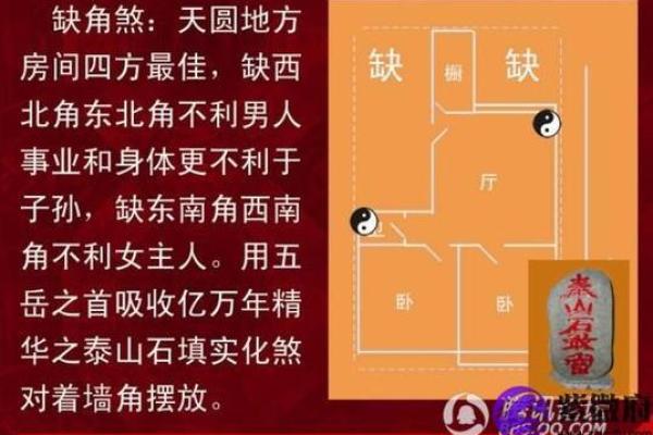杨柳木命人的幸福方向与风水指南