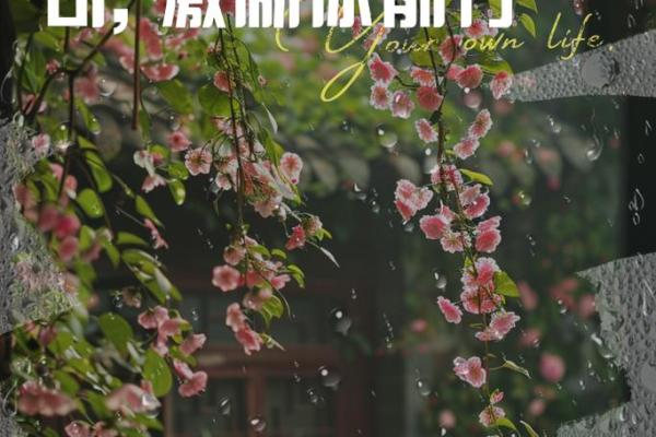 1940庚子年：探索人生的命运与机遇之路