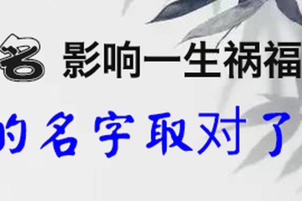 揭秘2013年小龙命运：解读其性格与人生轨迹