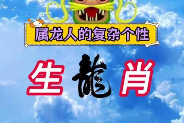 揭秘2013年小龙命运：解读其性格与人生轨迹