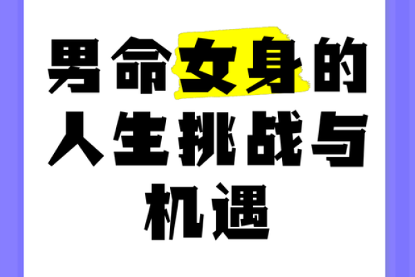 女命七杀，解码生命中的挑战与机遇