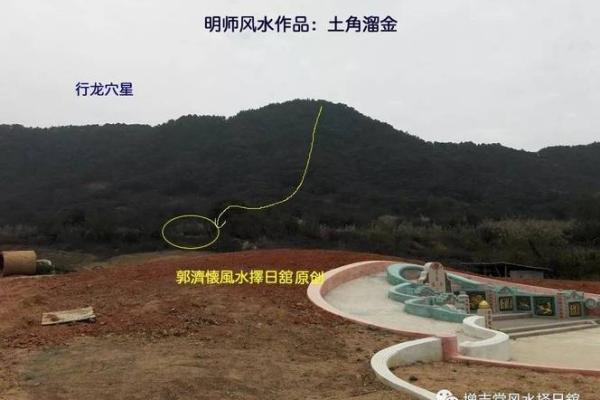 属鸡金命适合的墓地选择与风水布局解析