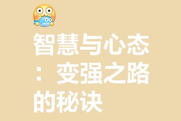 精进不休：追求卓越的心路历程