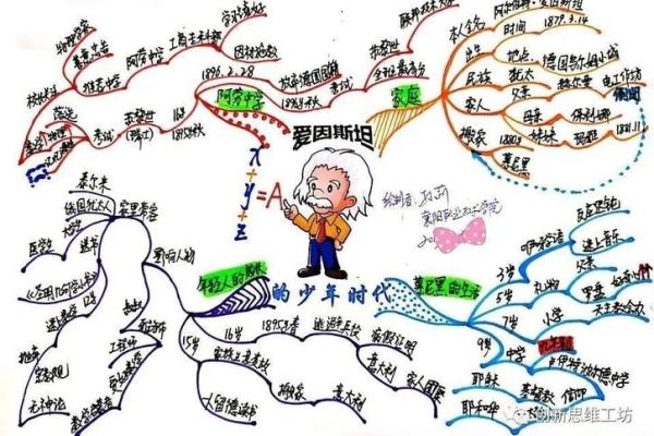 精进不休：追求卓越的心路历程