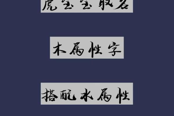 揭示木命命名的奥秘：如何选择适合木命的名字属性