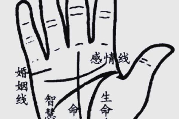 揭秘女人手相：这些特征让她们看起来更年轻！