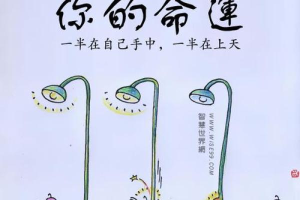 1997年出生的命运解析：活出精彩人生的钥匙