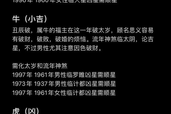 年命属相的深奥智慧：探寻生命的本质与命运的秘密