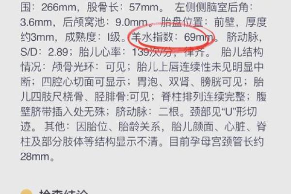 2023年11月出生宝宝的命理分析与养育建议