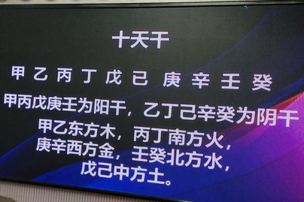 水命人适合选择什么地毯：提升居家风水的秘诀