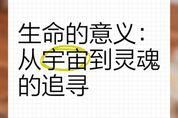 探索生命的意义：命运的王者与内心的追寻