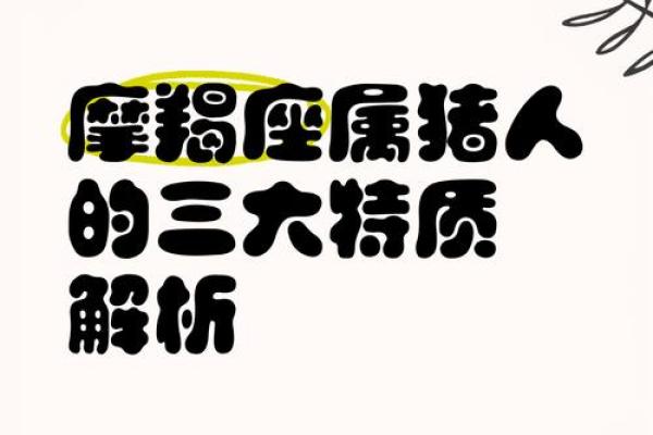 2007年属猪命运解析：财富与幸福的结合之道