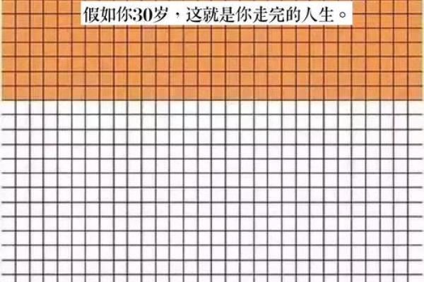 70年农历狗年的命运解析：如何把握人生关键点？