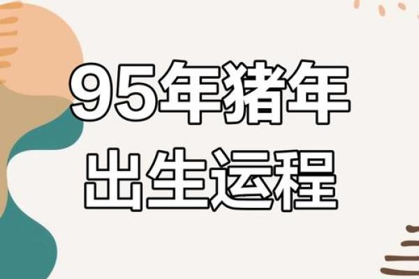 探寻3019年属猪人的命运与人生哲学之旅