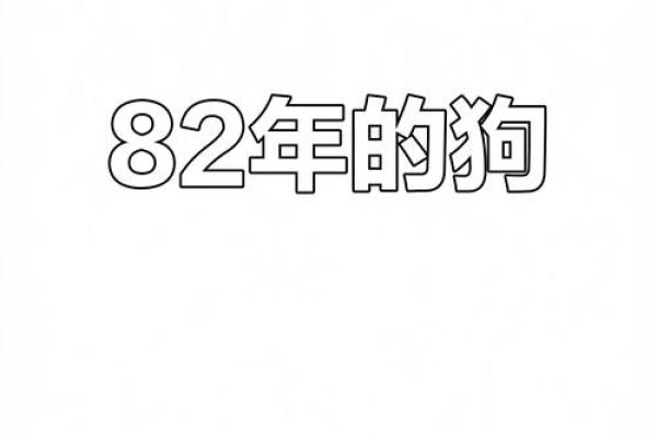 探秘二零一八年：属狗人的命运与性格分析