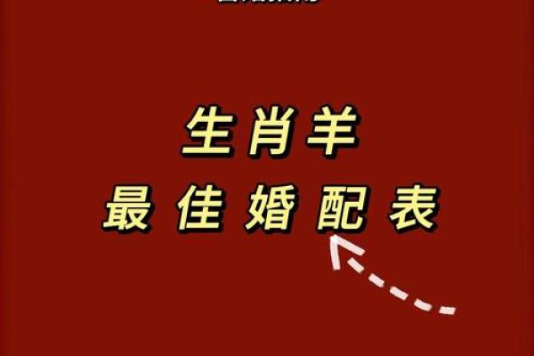 46年属狗的性格与命运分析：揭秘你的财富与幸福之道！