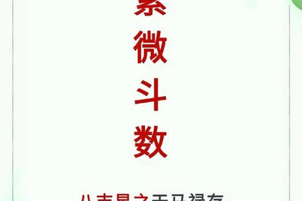 2007年属猪午时出生的命运解析：性格、运势与未来发展