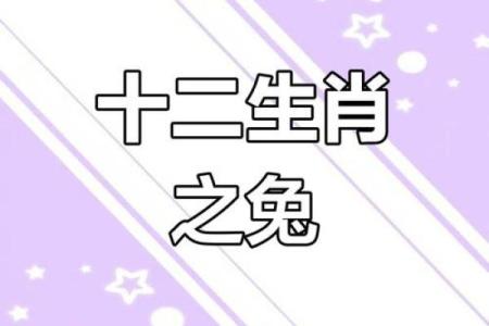 1999年2月出生的人属兔，命运与性格的深度解析