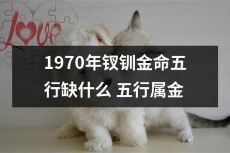 透明金命的结婚价值与人生启示
