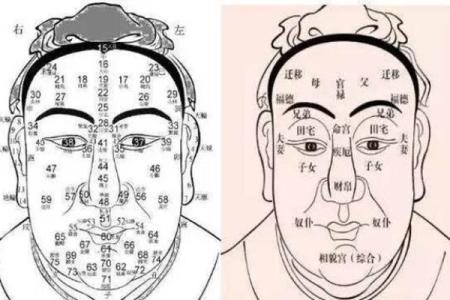 眉头前凸的命理解析：这些面相特征让你更具魅力与贵人运！