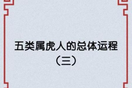 水虎命的取名禁忌与智慧之道