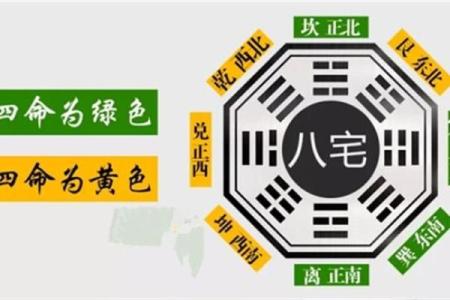 探秘命理：东四命与西四命的区别与分析