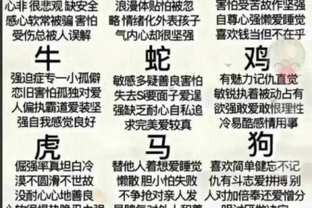 1970年属狗人的命运与性格探秘