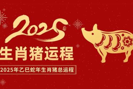 探寻己亥年出生的猪年命运：性格、命理与运势详解