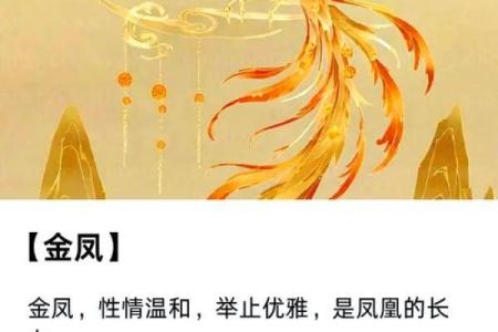 面相学揭秘：识别女人凤凰命的独特特征