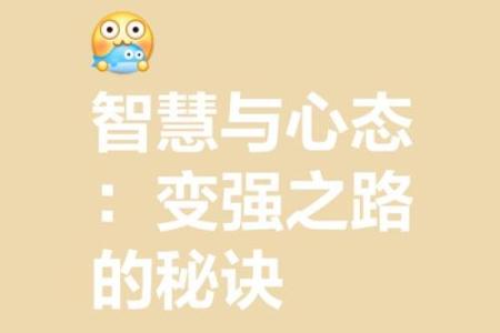 精进不休：追求卓越的心路历程