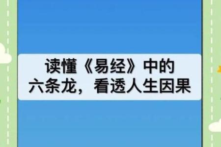 了解乾卦命 解码命运与性格，探索人生的无限可能性