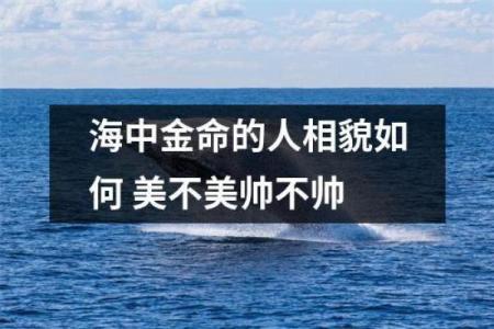 海中金命的意义与人生启示：寻觅内心的富饶之旅