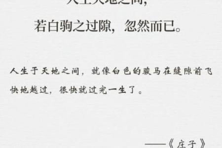 随心而行，情绪与命运的微妙关系：从庄子谈起