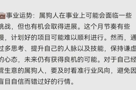 探秘二零一八年：属狗人的命运与性格分析