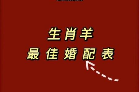 46年属狗的性格与命运分析：揭秘你的财富与幸福之道！
