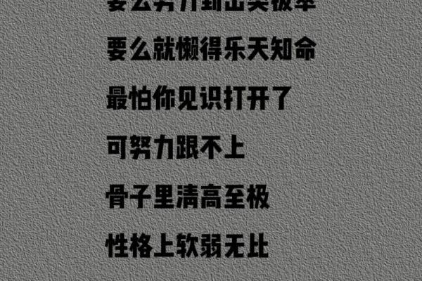 懒惰命：关于人生、选择与追求的另类思考