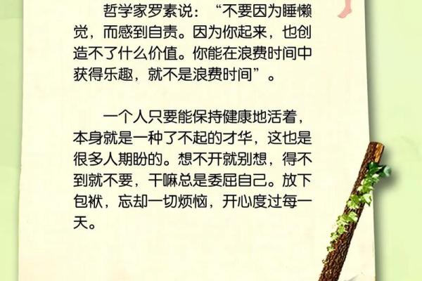 懒惰命：关于人生、选择与追求的另类思考