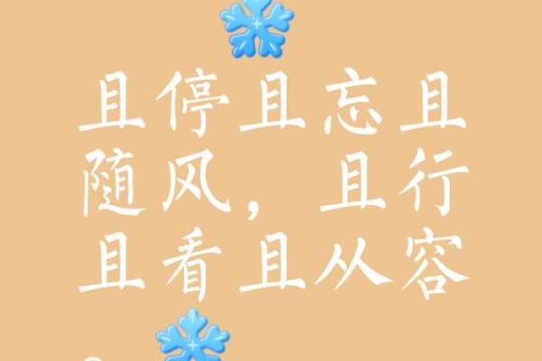 命不待他：把握当下，珍惜每一瞬