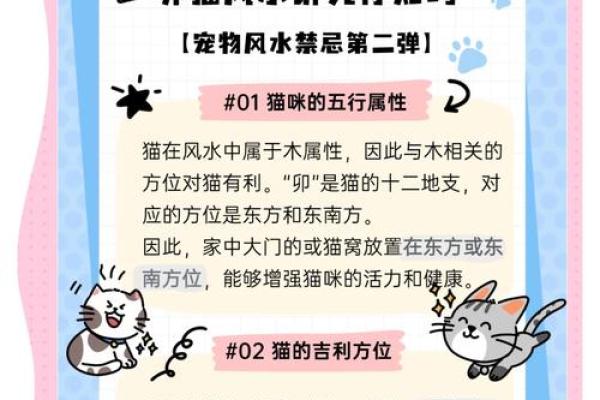 揭秘女性属猫的命理特点与命运发展