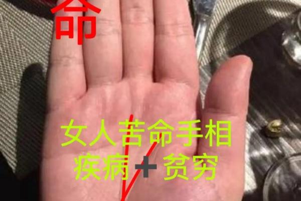 掌纹揭秘：揭示女人命运的秘密与幸福之路