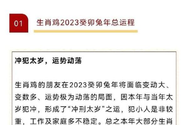 属鸡左撇子命理解析：如何利用天赋获取成功与幸福