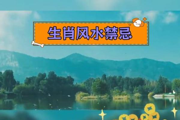 属鸡金命的禁忌与风水：生活中的注意事项