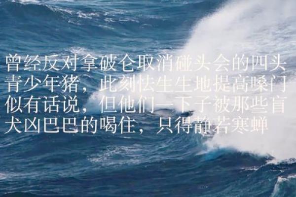 贪钱如命的动物：揭秘现代社会中的欲望象征