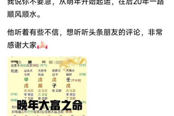 1984年木命者的命理解析与生活指南