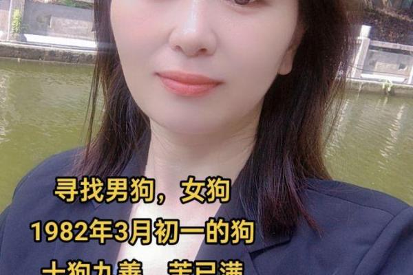 82年的狗：命运与性格的探讨